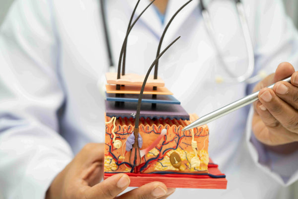 Wat een betere doorbloeding doet met je haar